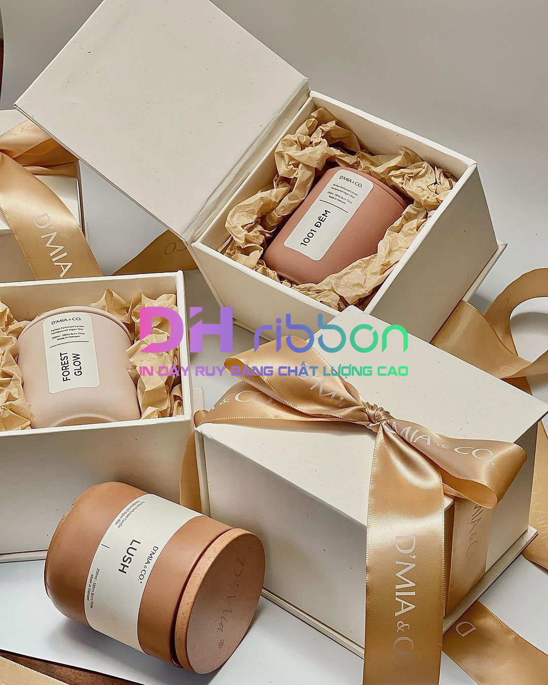 Feedback dh ribbon ruy băng 11